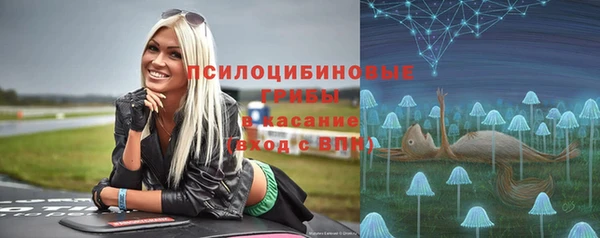 ГАЛЛЮЦИНОГЕННЫЕ ГРИБЫ Алексеевка