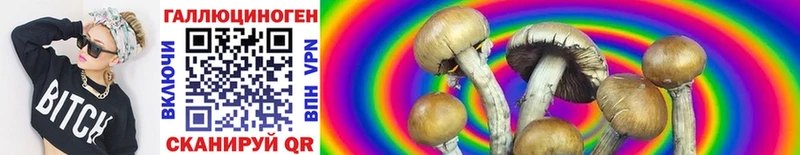 Галлюциногенные грибы Psilocybine cubensis  Вилюйск 